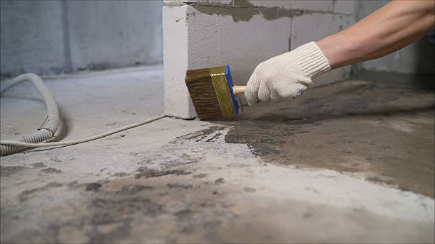 SJ Waterproofing Pros Waterproofing coverage map for Coopersville, MI and surrounding area